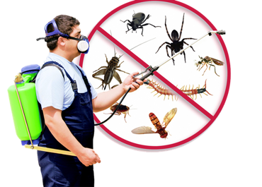 Picture for category Pest Control