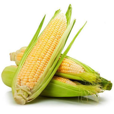 Picture for category Corn