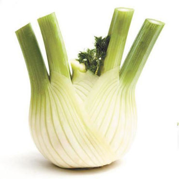 Picture for category Fennel