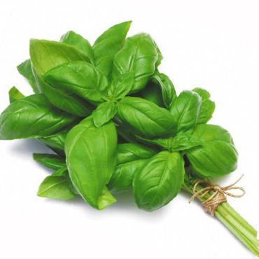 Picture for category Fresh Herbs