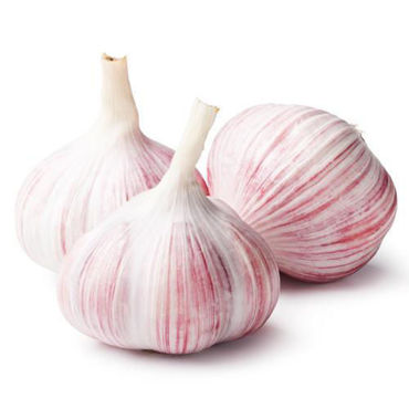 Picture for category Garlic