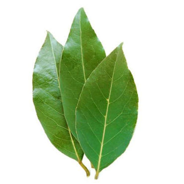 Picture for category Bay Leaf