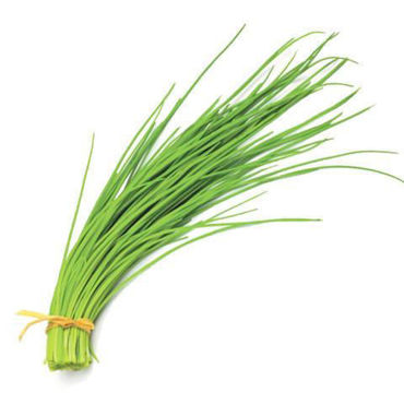 Picture for category Fresh Herbs Chives Green