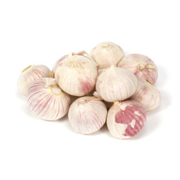 Picture for category Garlic Clove