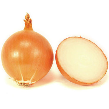 Picture for category Onion Brown