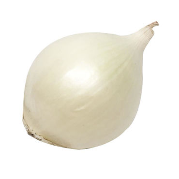 Picture for category Onion White