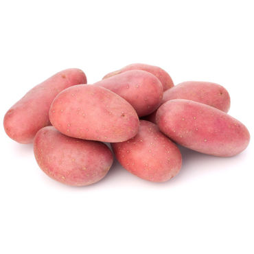 Picture for category Potatoe Red Washed