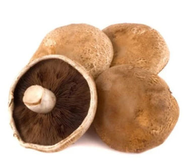 Picture for category Mushrooms Portobello