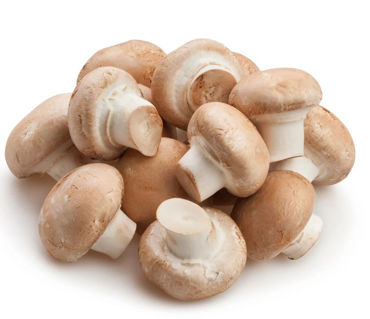 Picture for category Mushrooms Swiss Brown