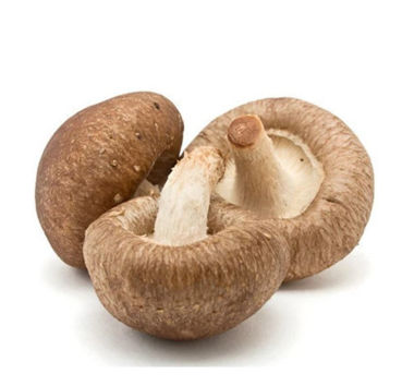 Picture for category Mushrooms Shiitake