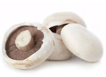 Picture for category Mushrooms BBQ Flat