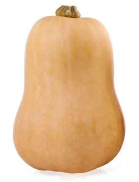 Picture for category Pumpkin Butternut