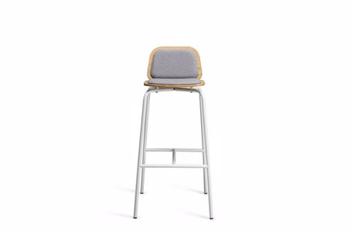 Picture of India stool