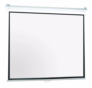 Picture of Projection Screen Pull