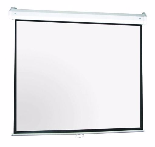 Picture of Projection Screen Pull