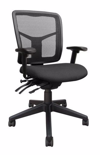 Picture of Trane Medium Back Executive Chair, Polished Base