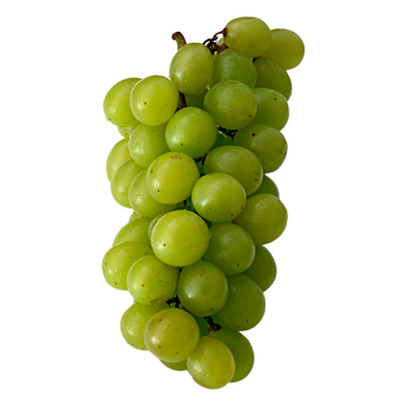 Picture for category Semillon