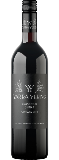 Yarra Yering Carrodus Shiraz 2019 750mL - 12 Pack-1