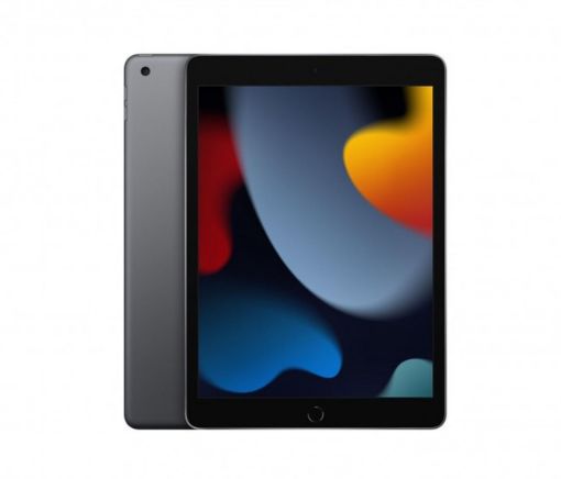 APPLE 10.2-inch iPad (9th-generation) Wi-Fi 256GB - Space Grey