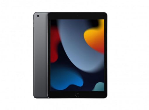 APPLE 10.2-inch iPad (9th-generation) Wi-Fi 64GB - Space Grey