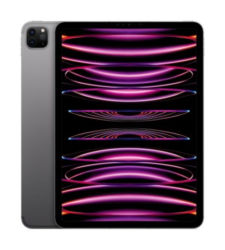 Picture of Apple 11-inch iPad Pro Wi-Fi + Cellular 2TB - Space Grey (2022)