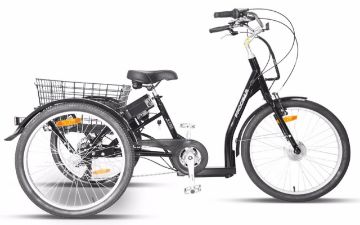 Progear - E-Free Electric Trike with Walk Mode 24" in Grey