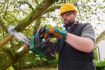 Bosch - Cordless Chainsaw + Battery and Fast Charger