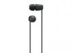 Sony Wireless In-ear Headphones