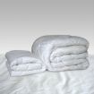 Herington - Cool Cotton Mattress Protector (Queen Bed) - White