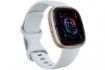 FitBit Sense2 Blue Mist/Pale Gold