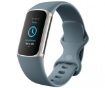 Fitbit Charge 5 Fitness Tracker - Steel Blue/ Platinum Stainless Steel