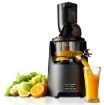 Kuvings - Whole Slow Press Juicer in Grey