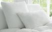 Sheridan - Deluxe Dream Medium Pillow - White