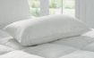 Sheridan - Deluxe Feather and Down Standard Pillow - Snow White