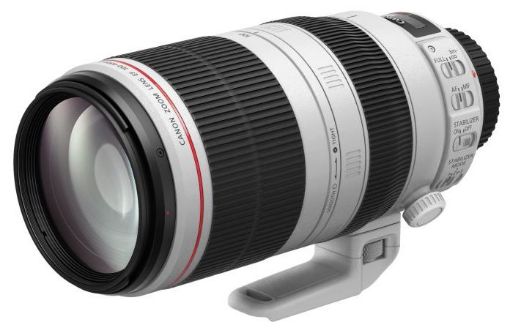 Canon - EF 100-400mm f/4.5-5.6L IS II USM Telephoto Camera Lens - White