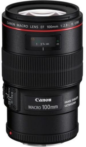 Canon - EF 100mm f/2.8L IS USM Macro Camera Lens - Black